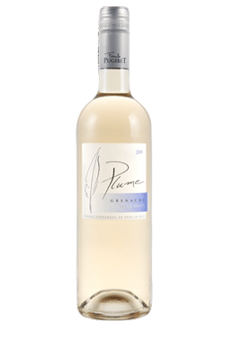 Plume Rosé - Colombette