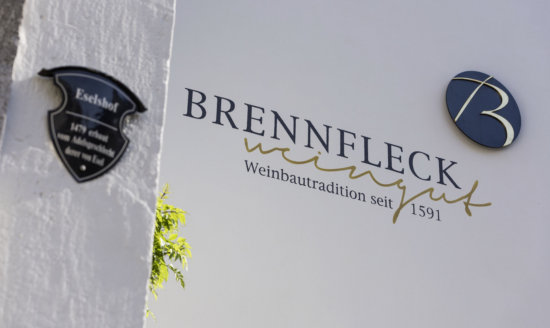 Brennfleck Logo Hauswand
